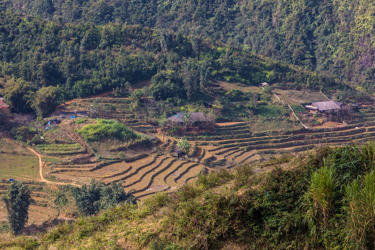 时候稻了，果然好风景