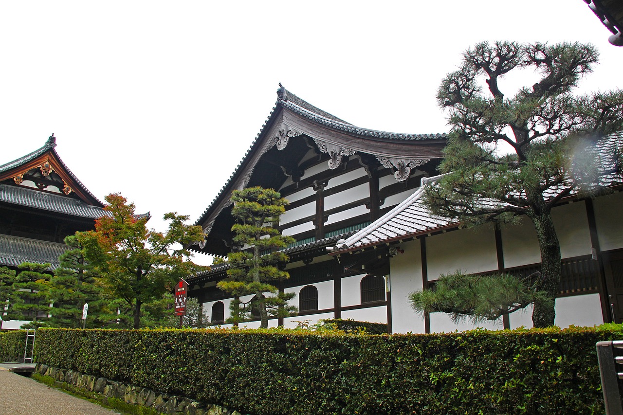 智利女网红在日本神社做引体向上，挑战与文化的碰撞